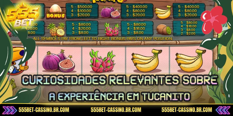 Curiosidades relevantes sobre a experiência em Tucanito
