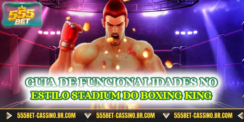 Guia de funcionalidades no estilo stadium do Boxing King